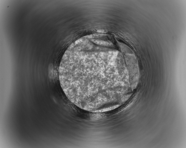 X0000096190432200802081524