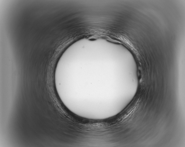 X0000096190433200802081523