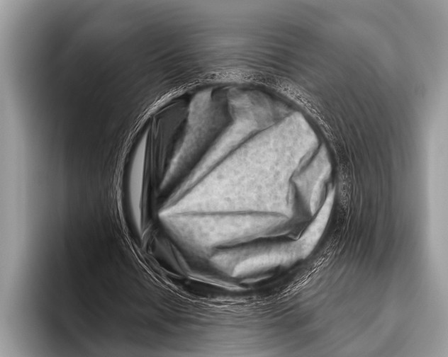 X0000096190434200802081523