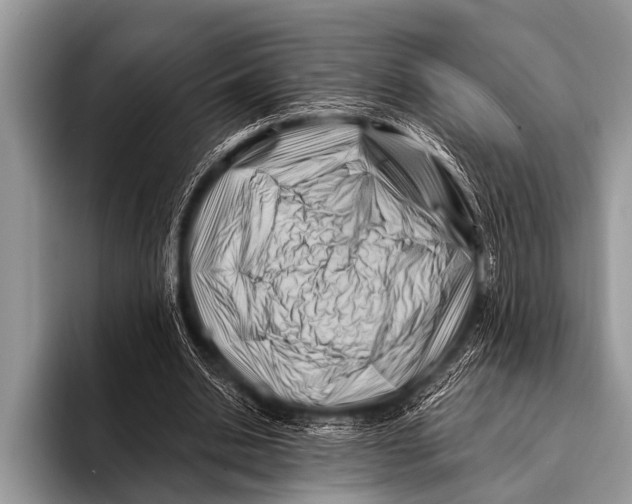 X0000096190438200802081523