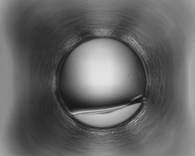 X0000096190441200802081523