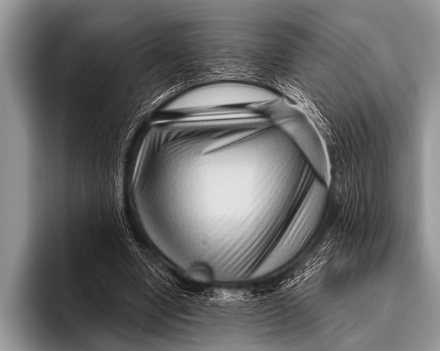 X0000096190442200802081523