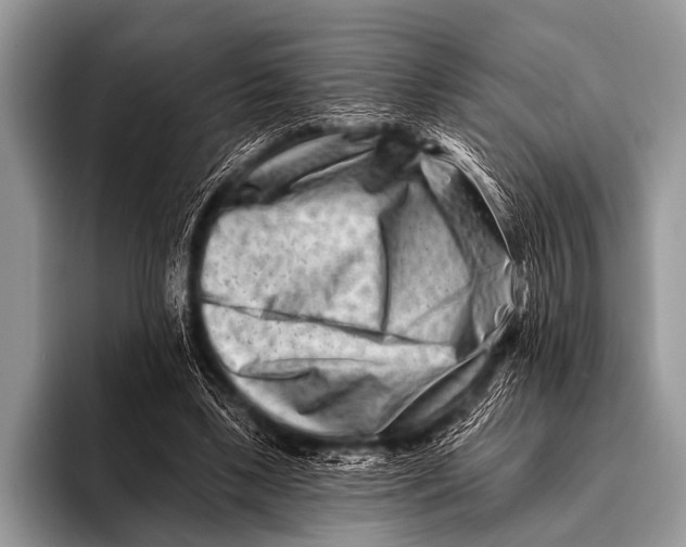 X0000096190443200802081523