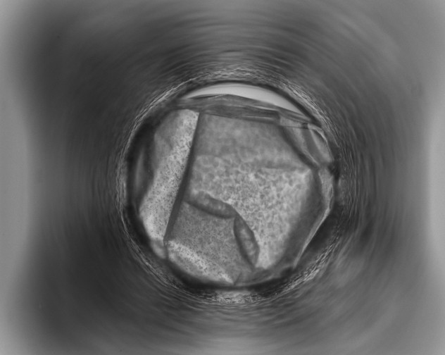 X0000096190446200802081523