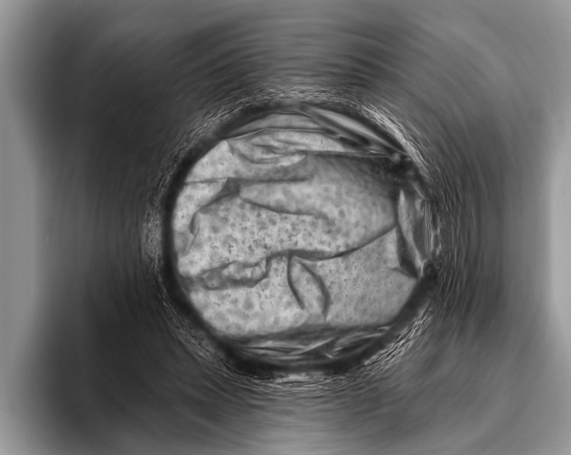 X0000096190447200802081523