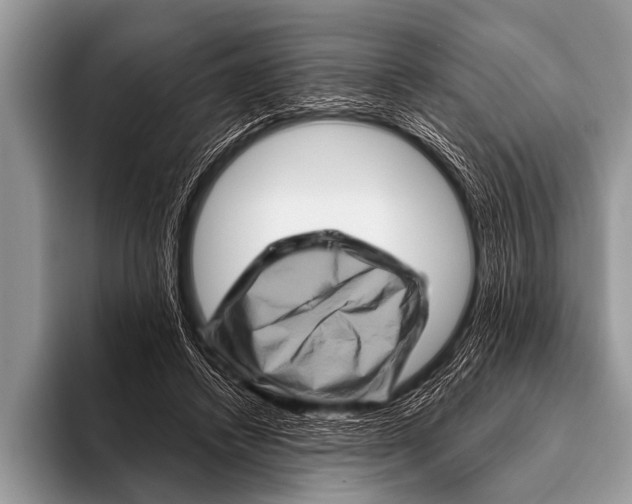 X0000096190448200802081523