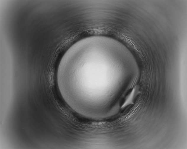 X0000096190450200802081523