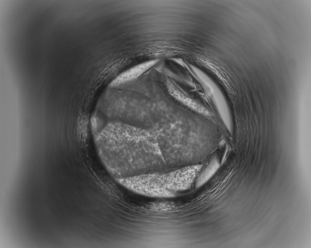 X0000096190451200802081523