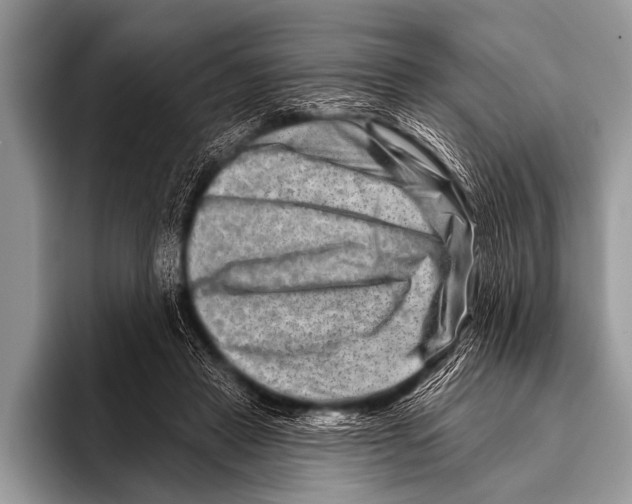 X0000096190453200802081523