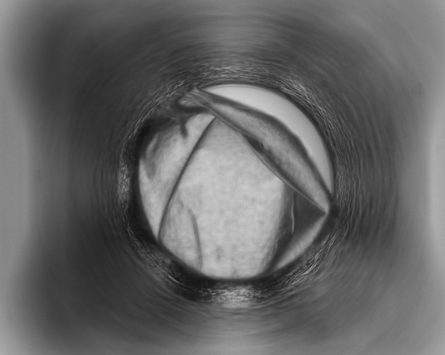 X0000096190456200802081523