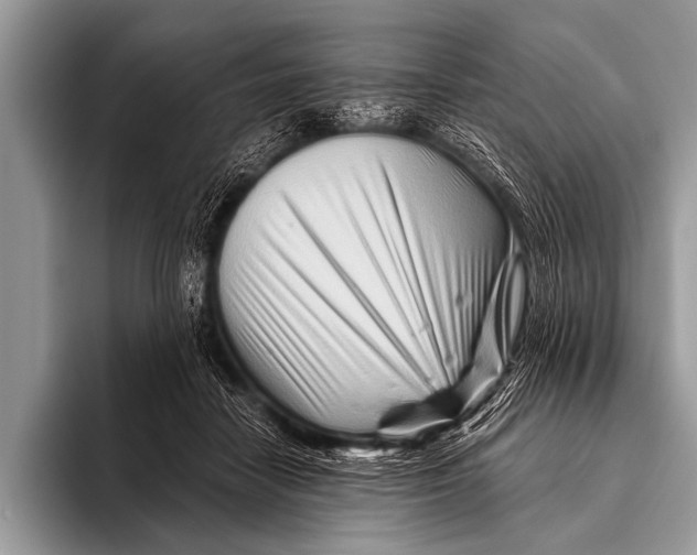 X0000096190458200802081523