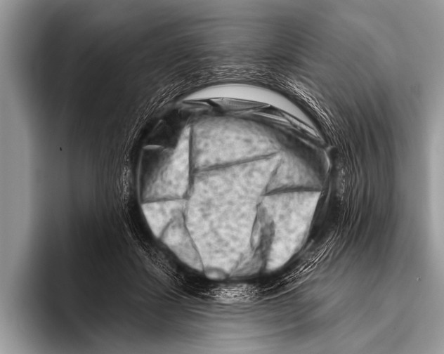 X0000096190459200802081523