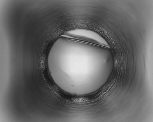 X0000096190460200802081523