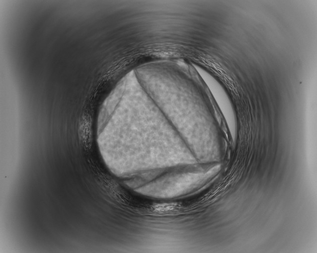 X0000096190461200802081523