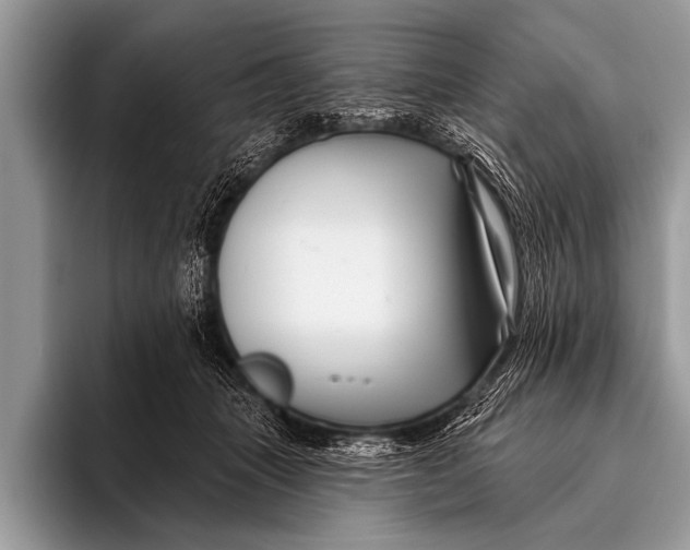 X0000096190463200802081523