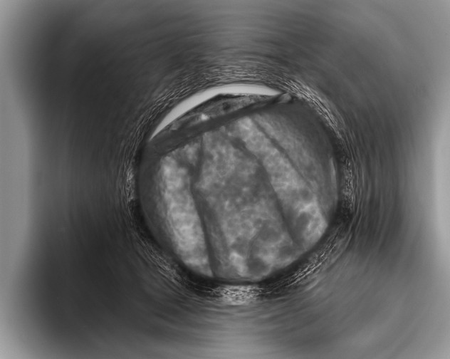 X0000096190465200802081523