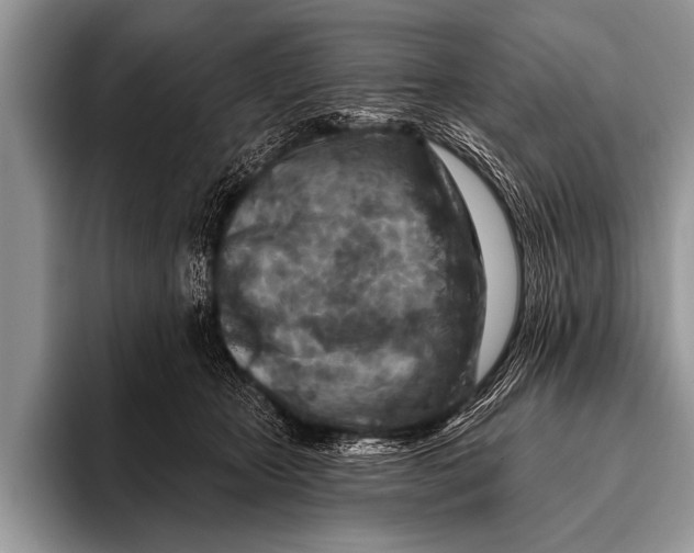 X0000096190467200802081523