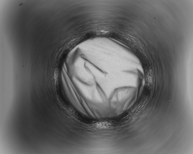 X0000096190468200802081523