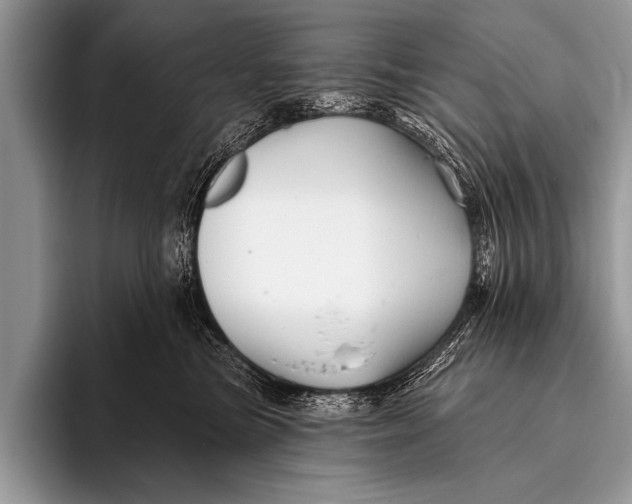 X0000096190473200802081523