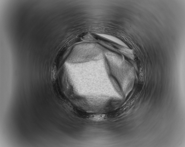 X0000096190474200802081523