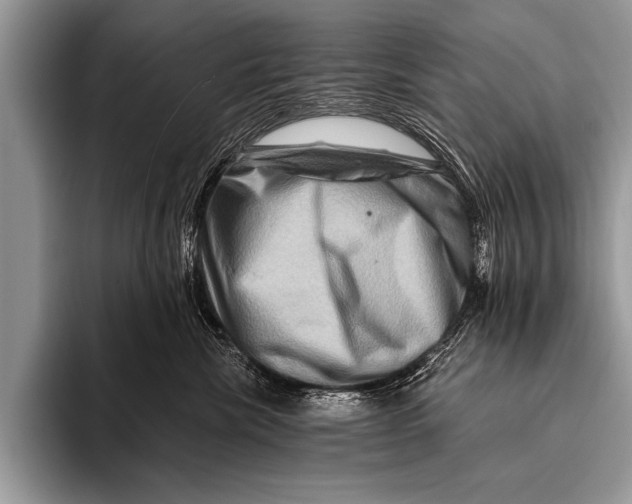 X0000096190476200802081524