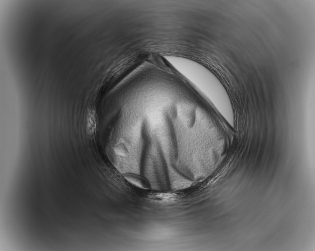 X0000096190478200802081524