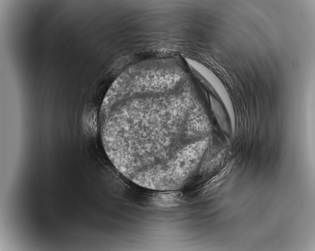 X0000096190479200802081524