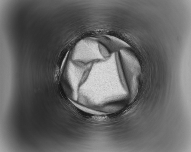 X0000096190480200802081524