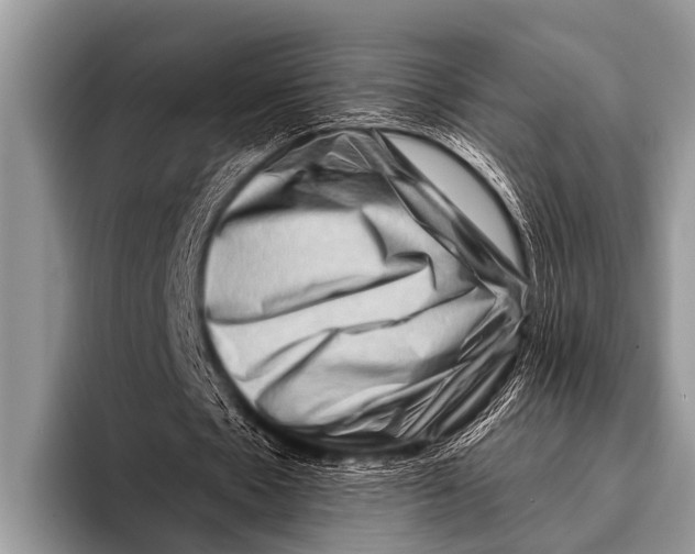 X0000096190481200802081523