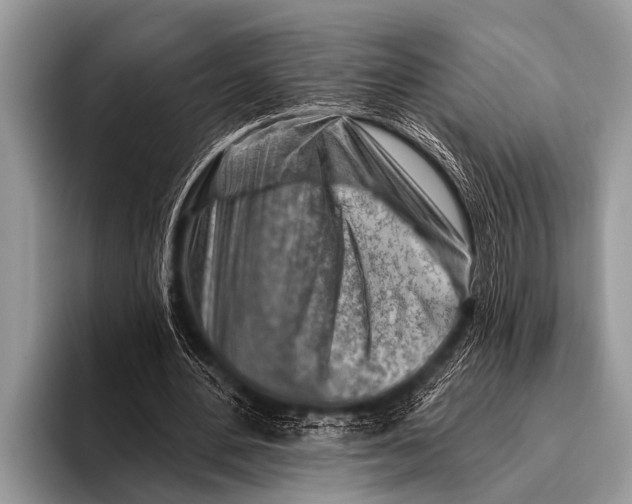 X0000096190484200802081523