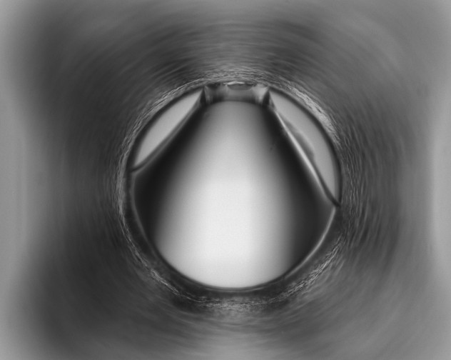 X0000096190485200802081523