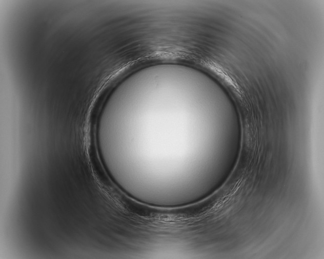 X0000096190486200802081523