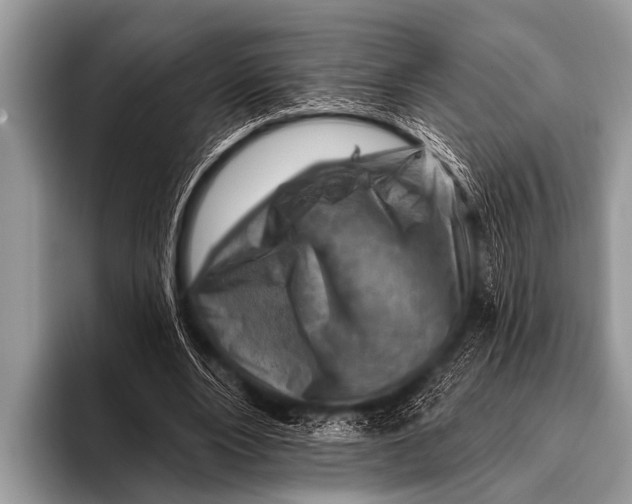 X0000096190488200802081523