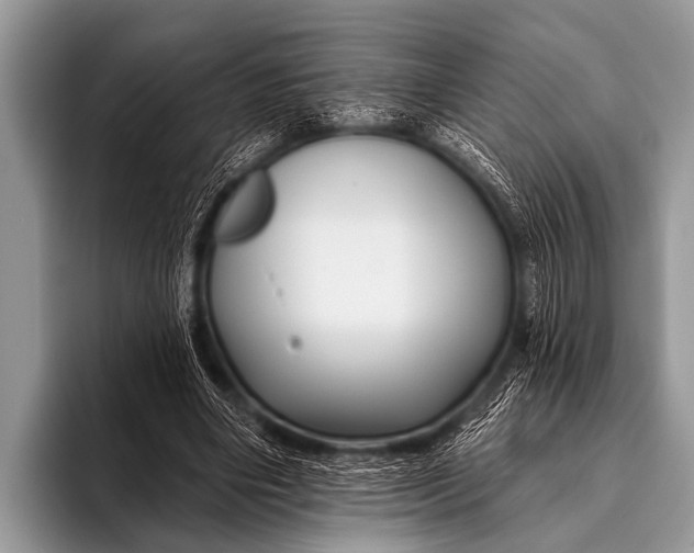 X0000096190490200802081523