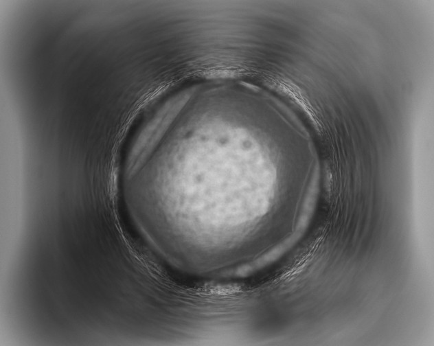 X0000096190491200802081523