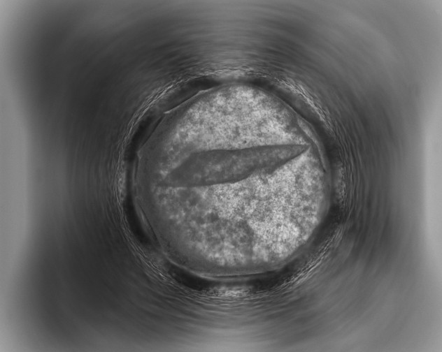 X0000096190495200802081523