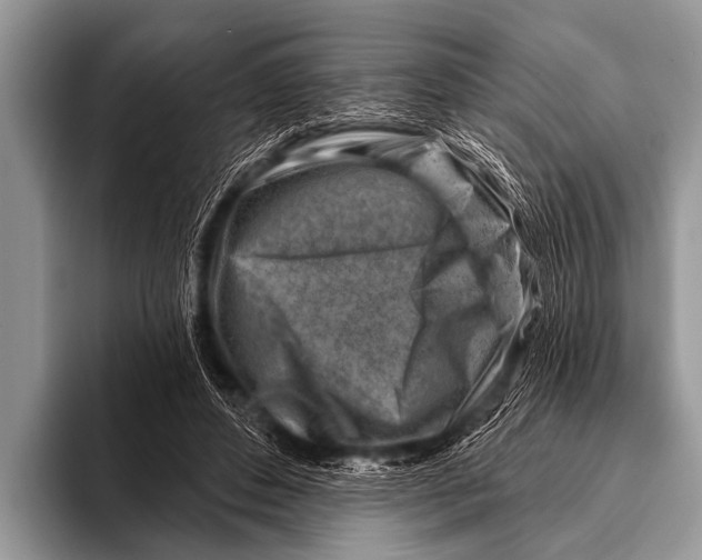 X0000096190496200802081523