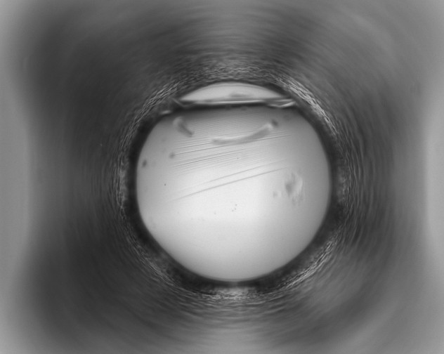 X0000096190497200802081523