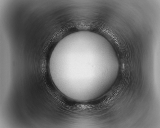 X0000096190498200802081523