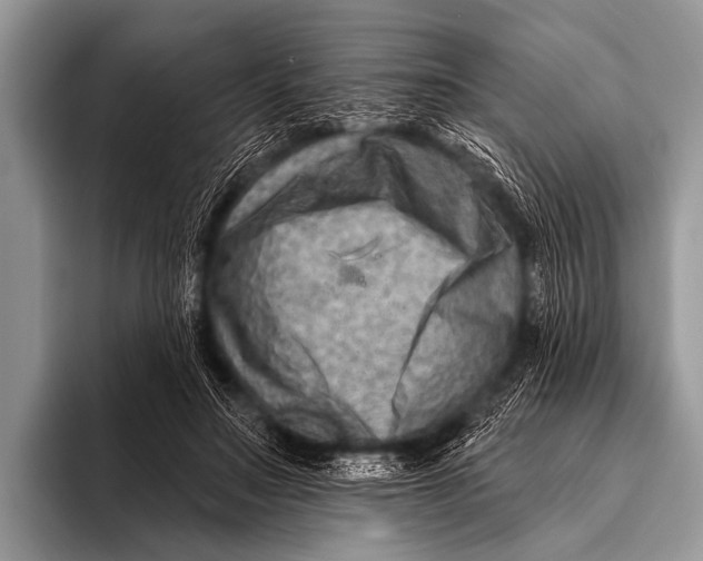 X0000096190499200802081523