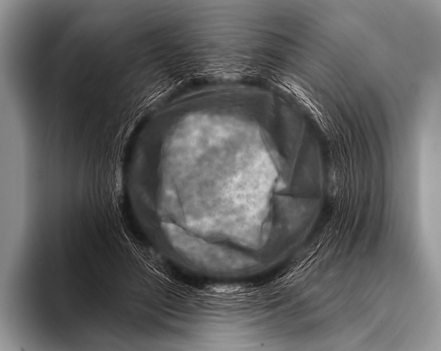 X0000096190500200802081523