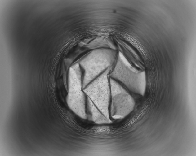 X0000096190501200802081523