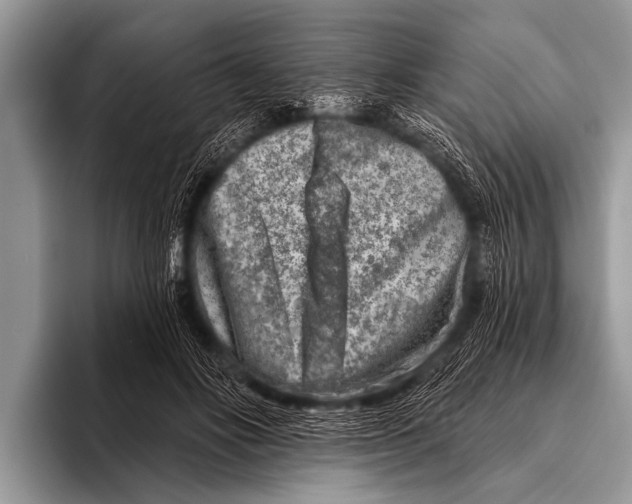 X0000096190502200802081523