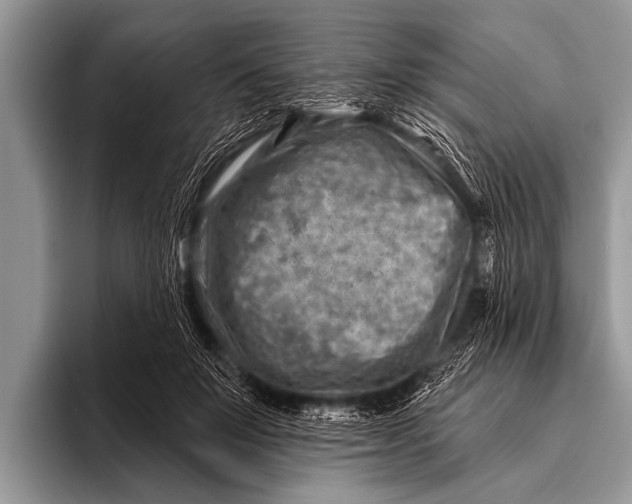 X0000096190503200802081523