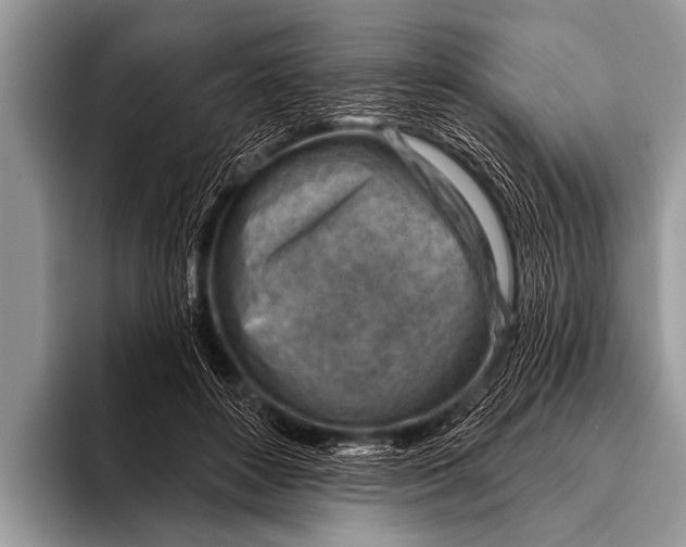 X0000096190504200802081523