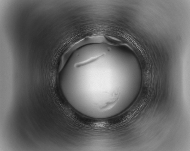 X0000096190505200802081523