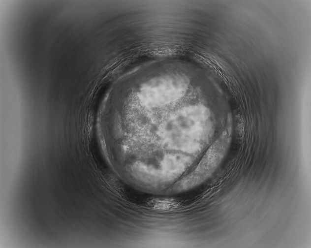 X0000096190507200802081523