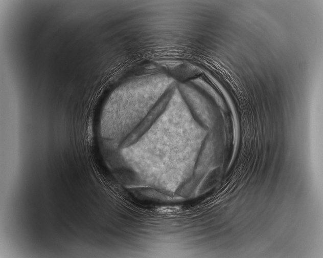 X0000096190508200802081523