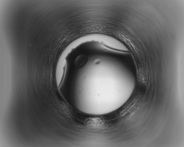 X0000096190509200802081523