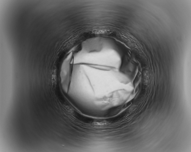 X0000096190510200802081523